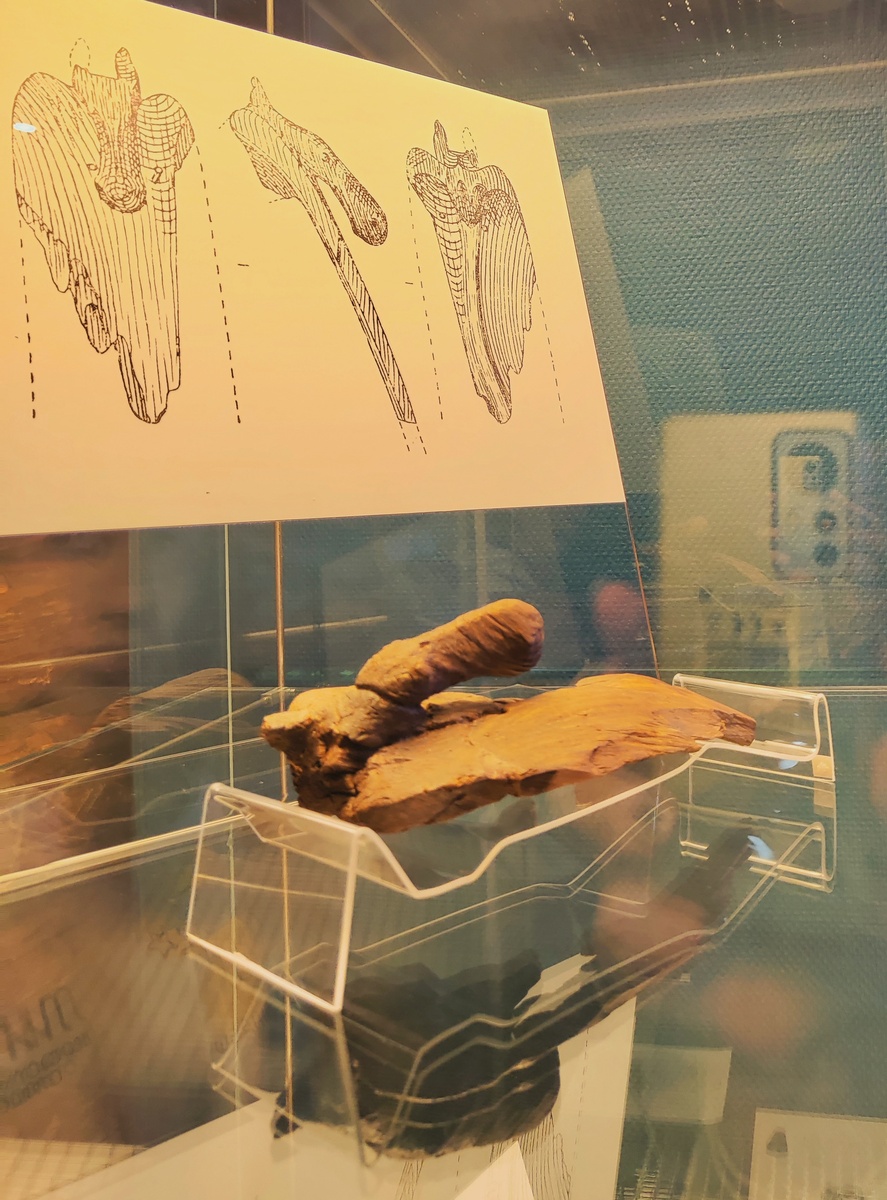 Фрагмент древней лыжи (Национальный музей Республики Коми)