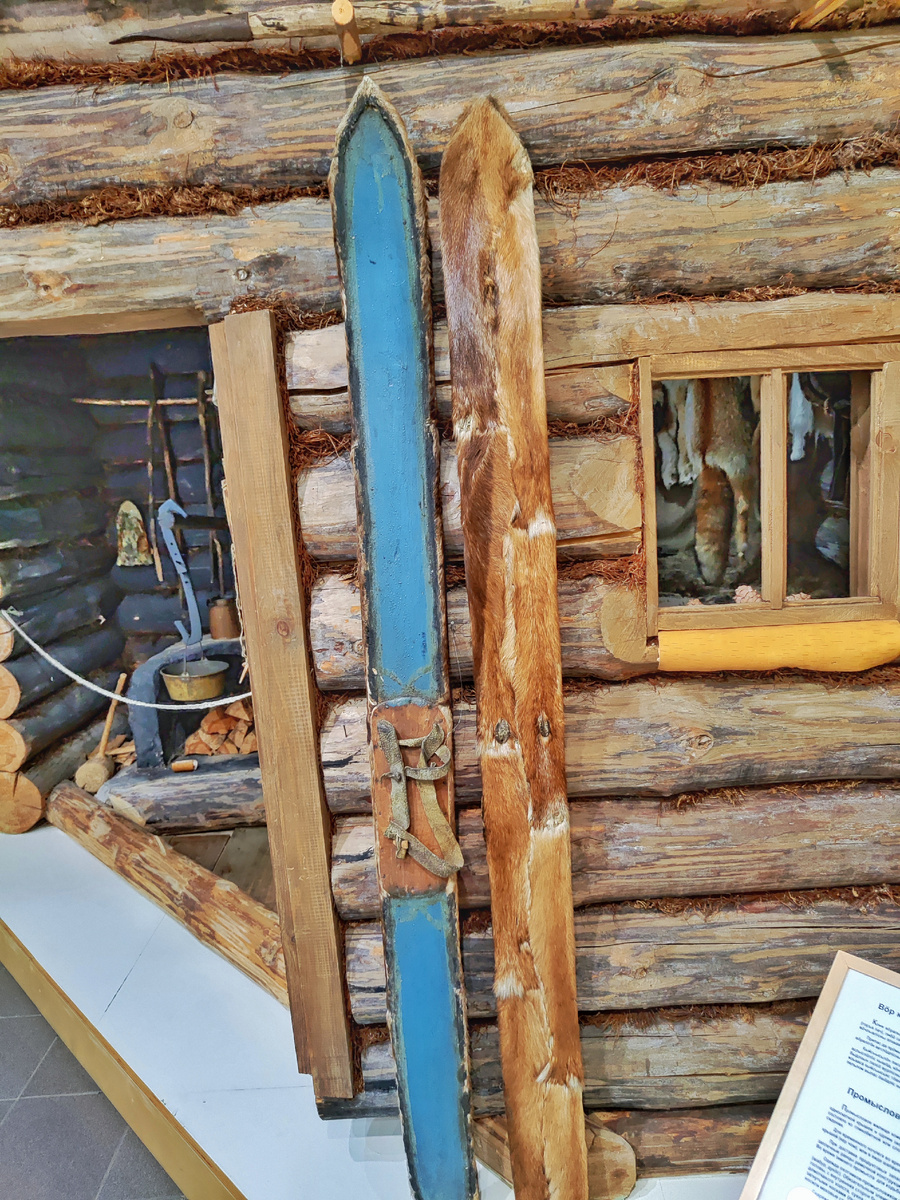 Промысловое жилище охотника (Национальный музей Республики Коми)