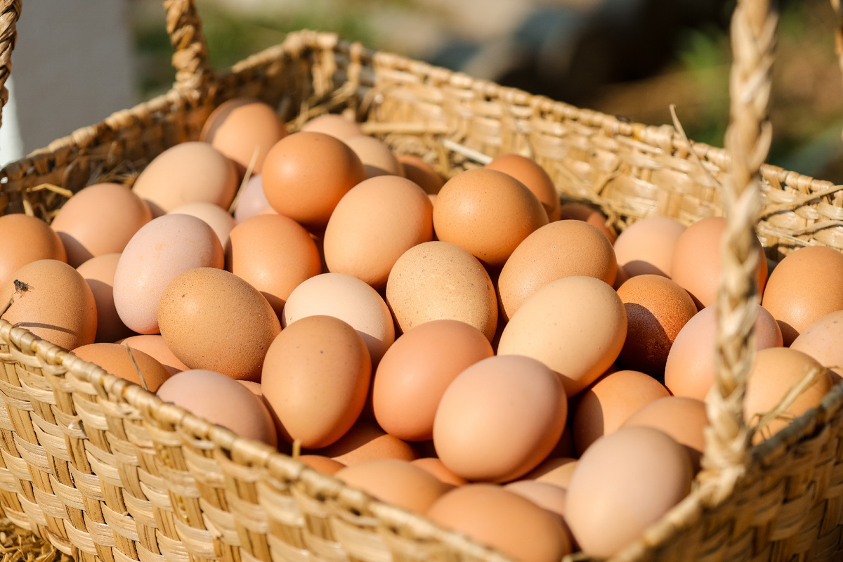 Фото: Shutterstock