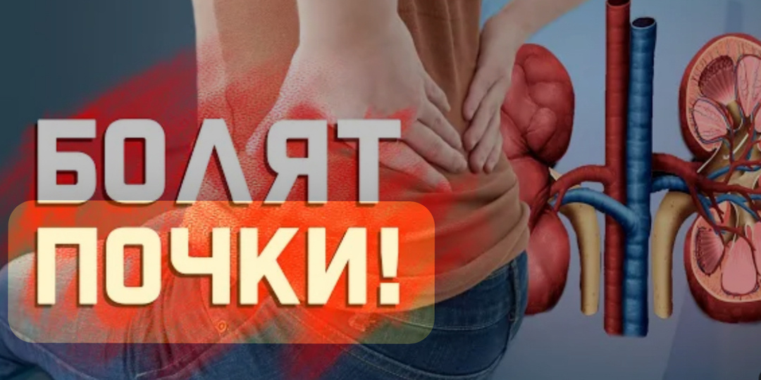 Врачи рассказали, как распознать болезни почек до того, как они станут необратимыми