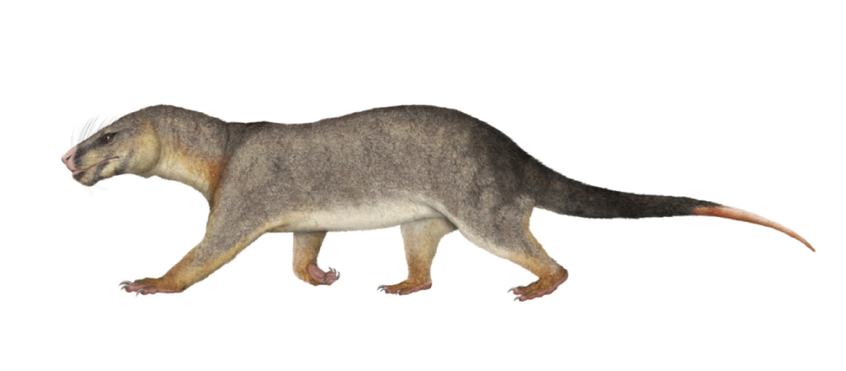 Эктенинион от Габриэля Угуэто. Арт.