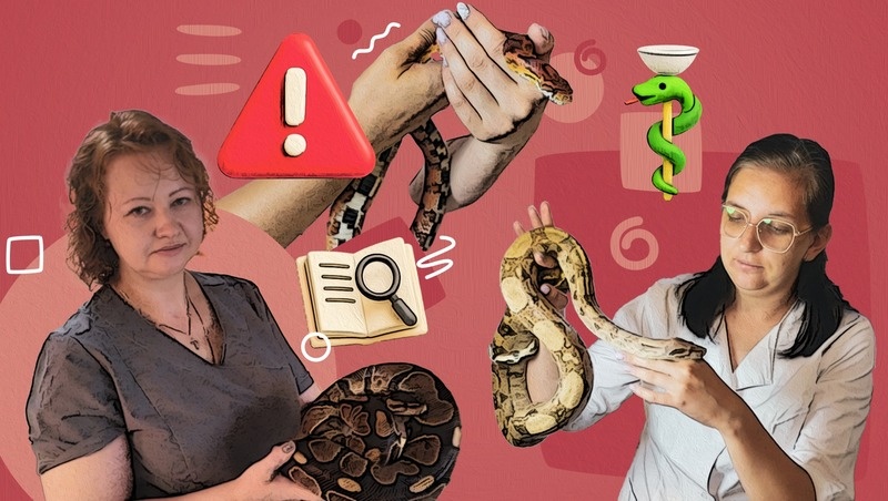      Фото: ИА «Победа26»