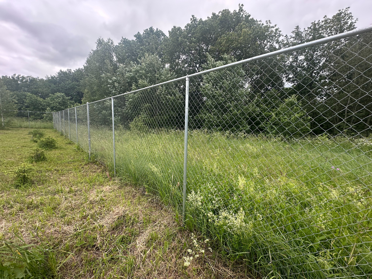 какой забор лучше решать конечно ВАМ, но вам с этим потом жить и ремонтировать