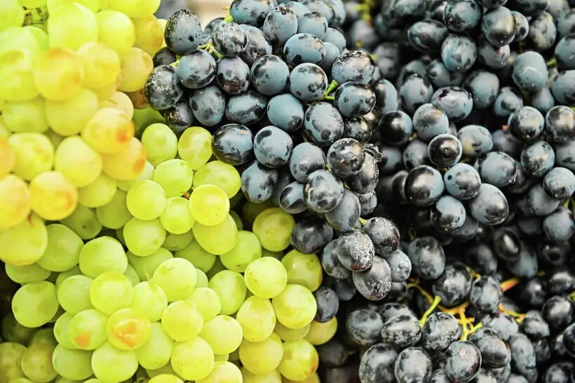     © РИА Новости. Владимир Песня