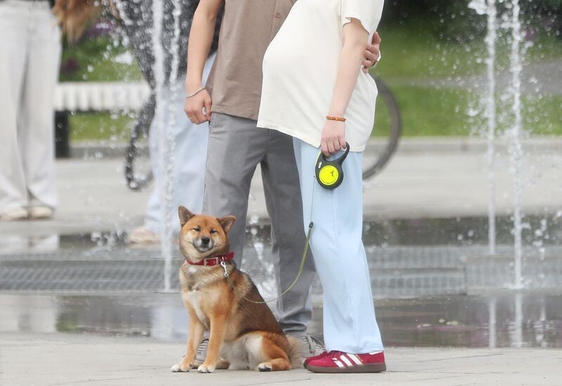     / Источник: © ИЗВЕСТИЯ/Андрей Эрштрем