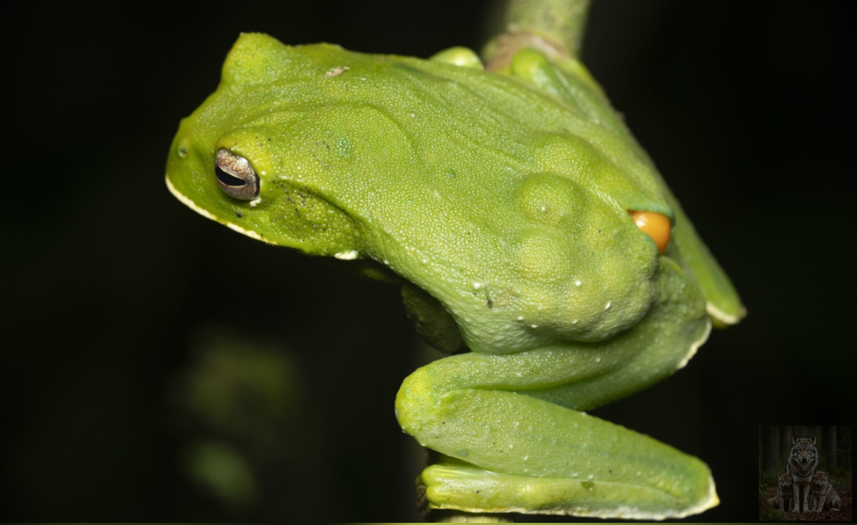 Ох скорей бы вы уже выросли а то уже спину ломит от вашего веса