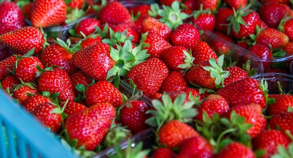    Медиасток.РФ