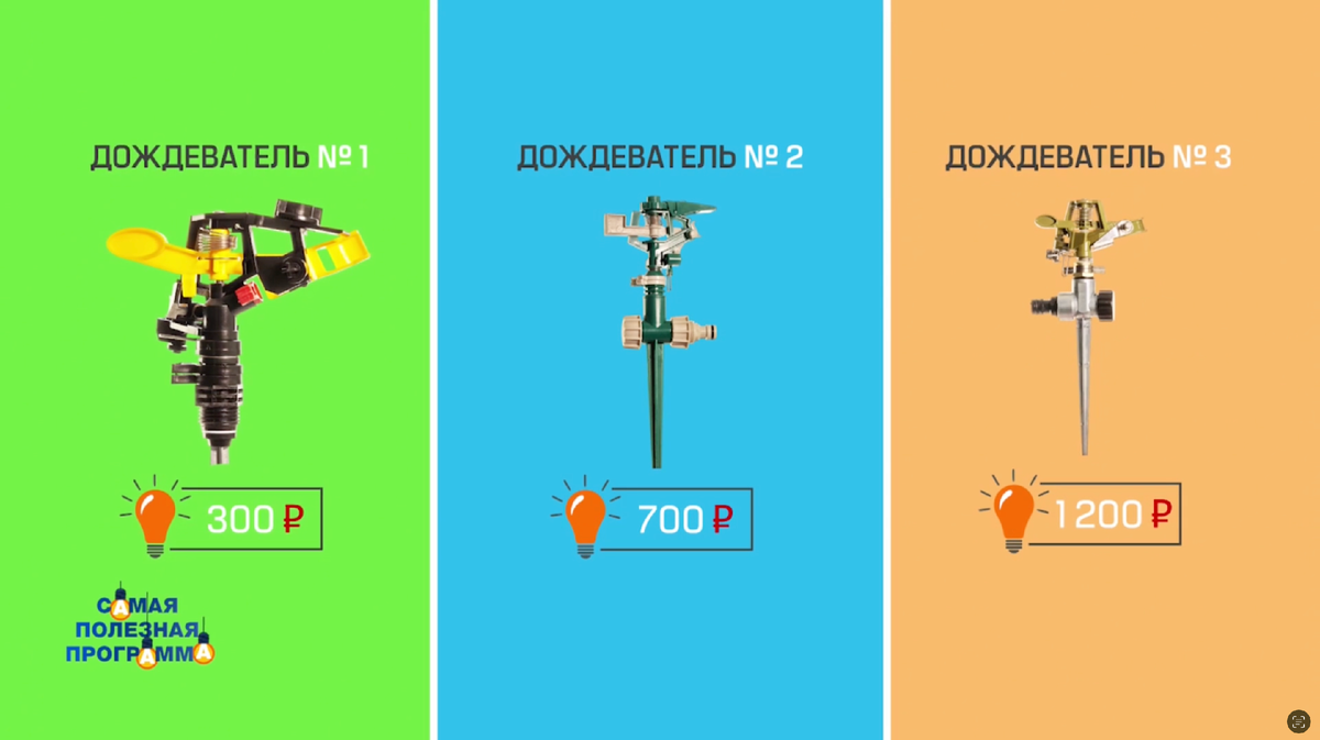 Фото: © Кадр из программы "Самая полезная программа", РЕН ТВ