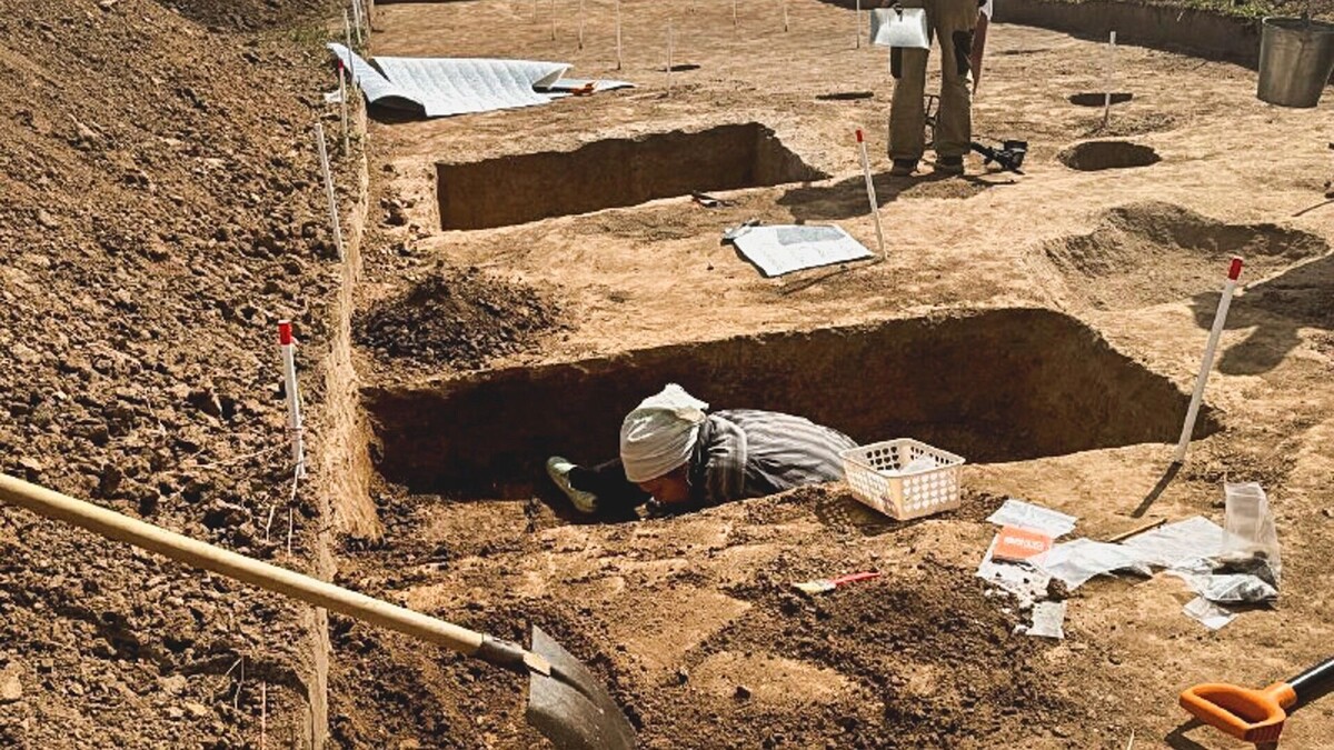     Источник: novostivolgograda.ru