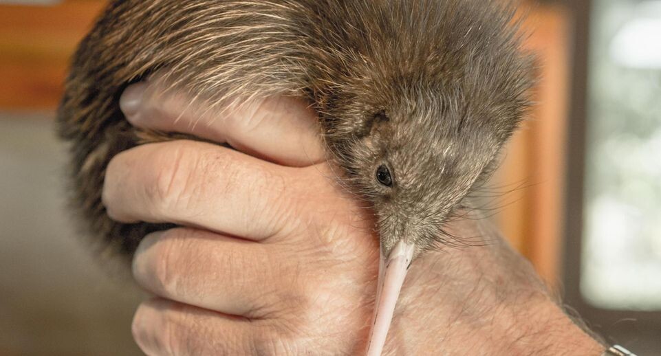    Gerhard Zwerger-Schoner / www.globallookpress.com