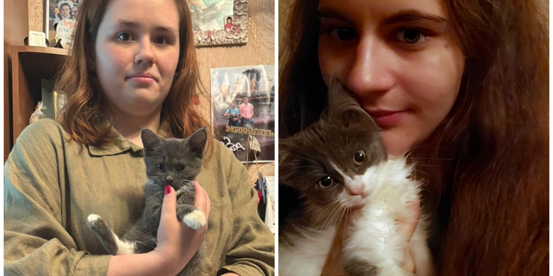 Мася и Ася. Двое котят с военного полигона обрели дом
