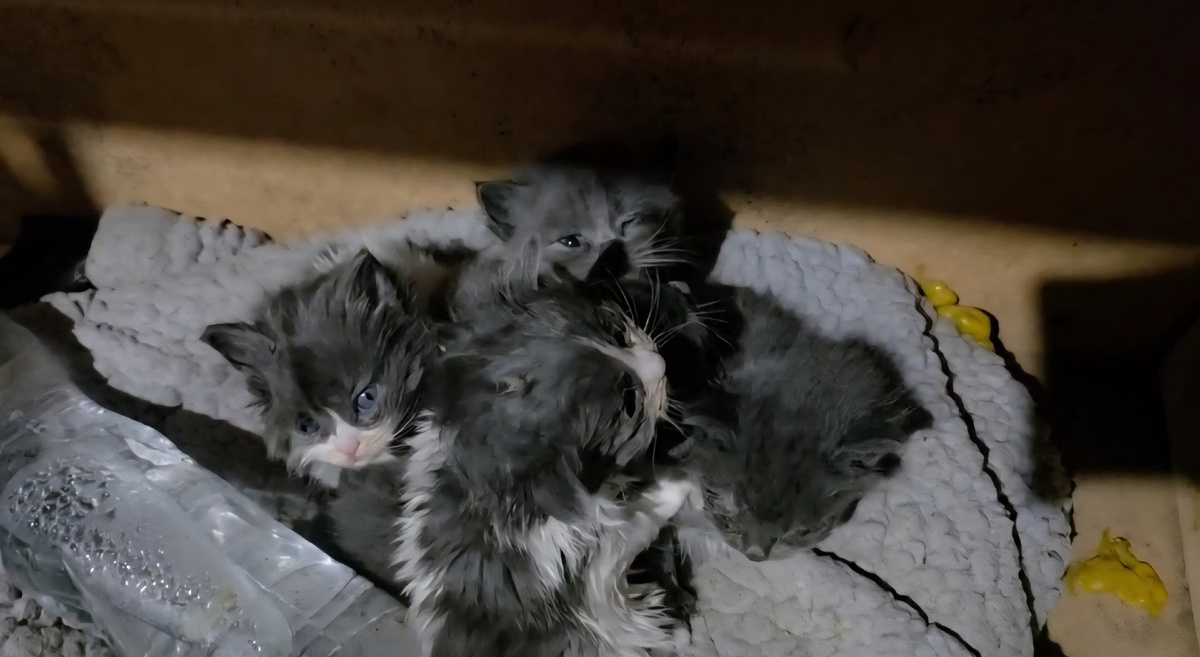 Фото с полигона 