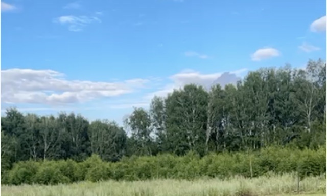 Какое голубое небо