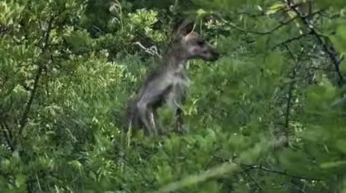 Источник фото: Парк «Малинки»