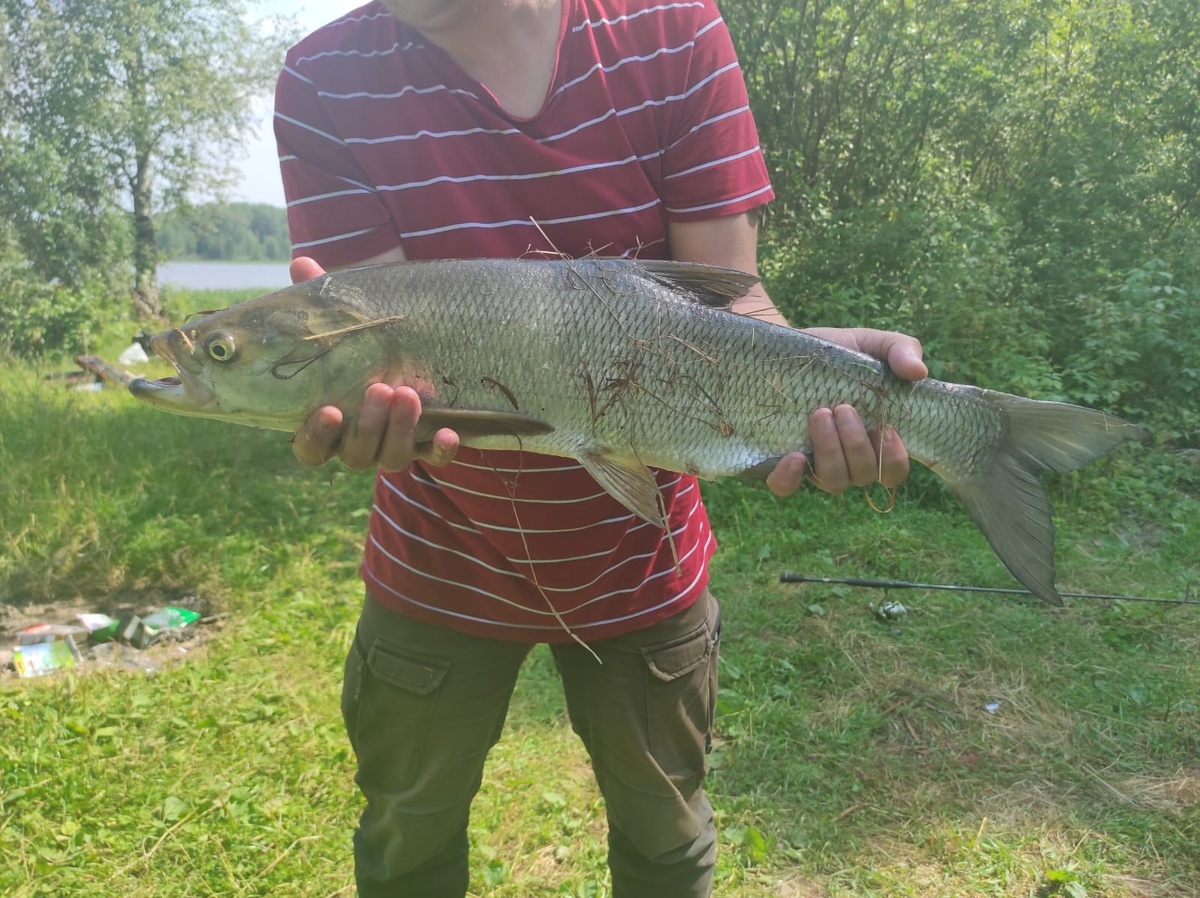 перед отъездом был взвешен. 2,5кг.