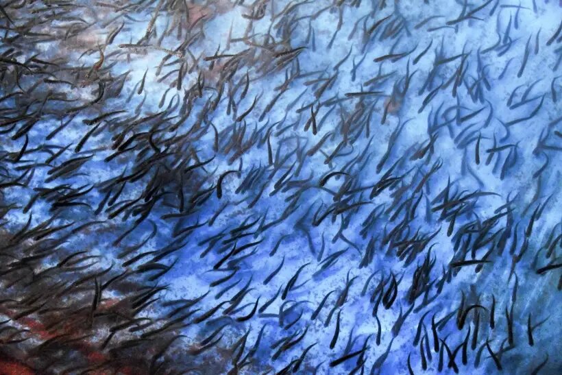     © РИА Новости. Виталий Аньков