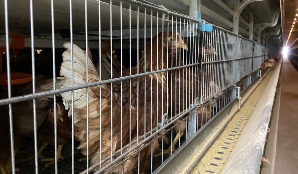     Промышленный корпус. Источник: АОН Автор фото: Никита Белов