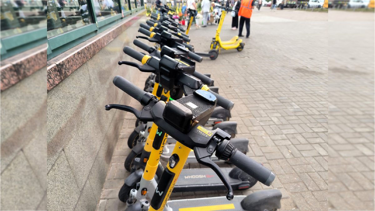 Фото: Maksim Konstantinov/globallookpress.com