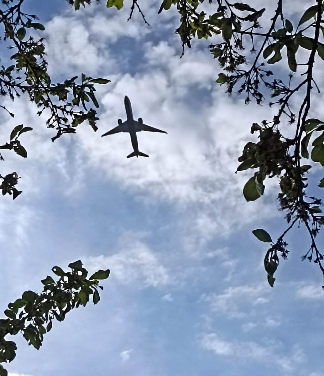 Самолёты и на даче рядом со мной