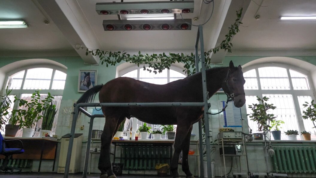    фото: Belkin Alexey/news.ru