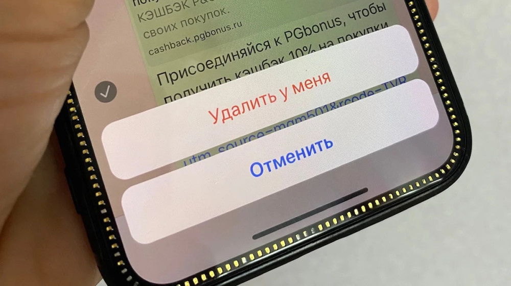    Школьники и удалённые переписки: битва со скриншотами