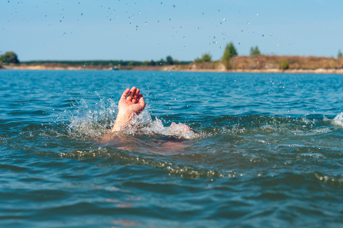    Фото: Afanasiev Andrii / Shutterstock.com