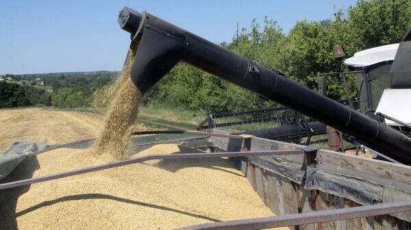    © РИА Новости . Сергей Аверин