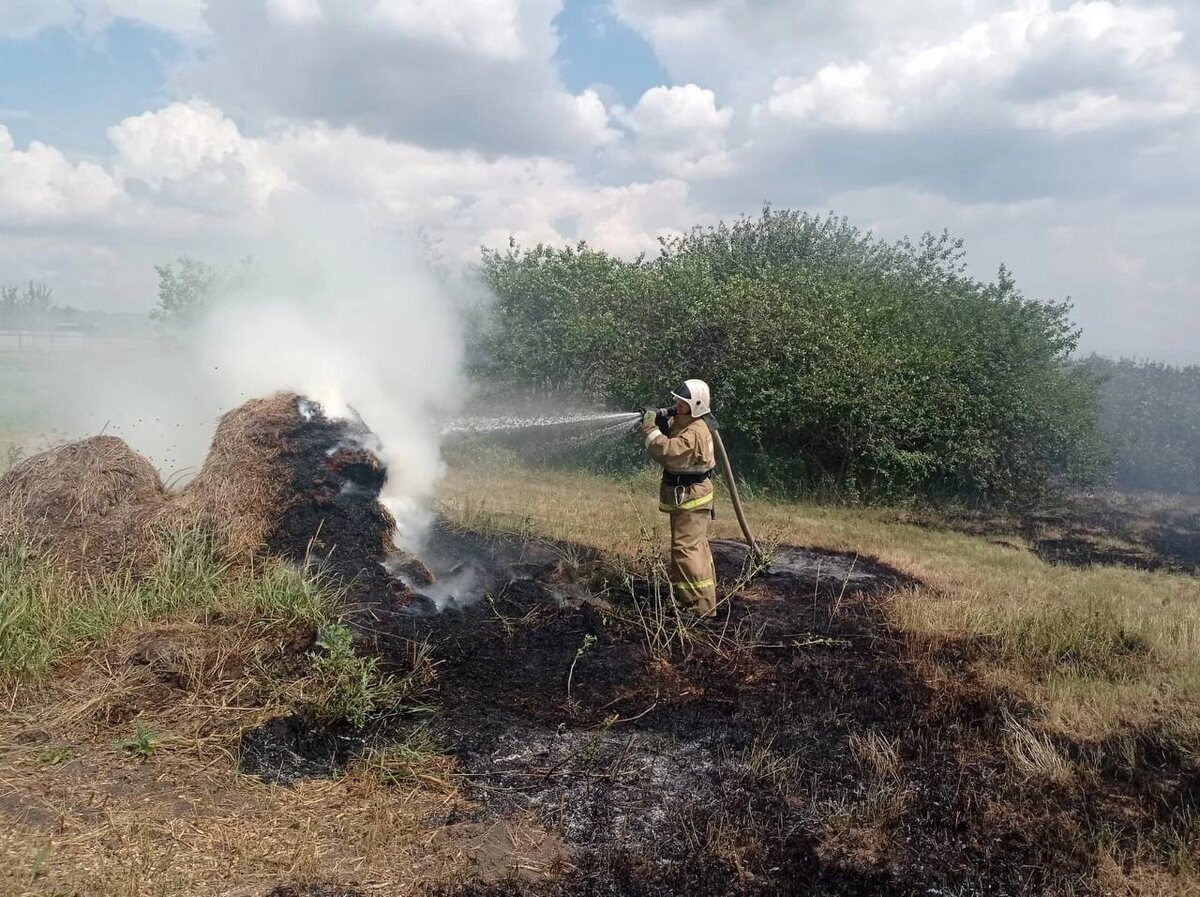    400 м² сухой травы охватило пламенем в Курской области