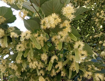 Фотография из личного архива автора