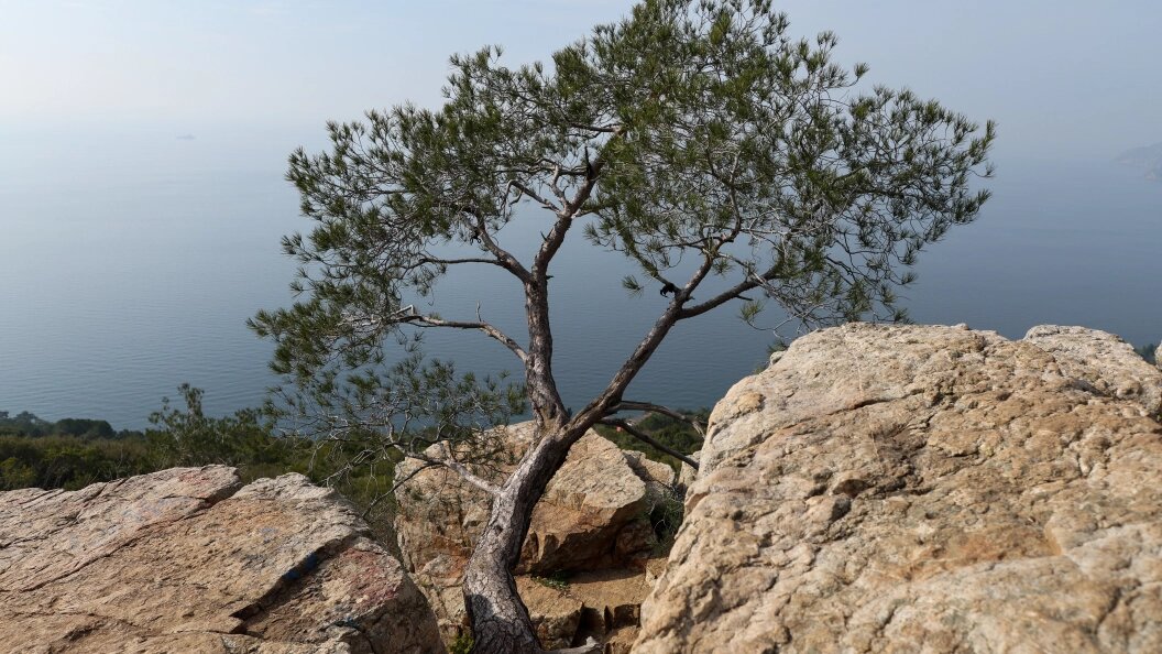    Belkin Alexey/news.ru/Globallookpress