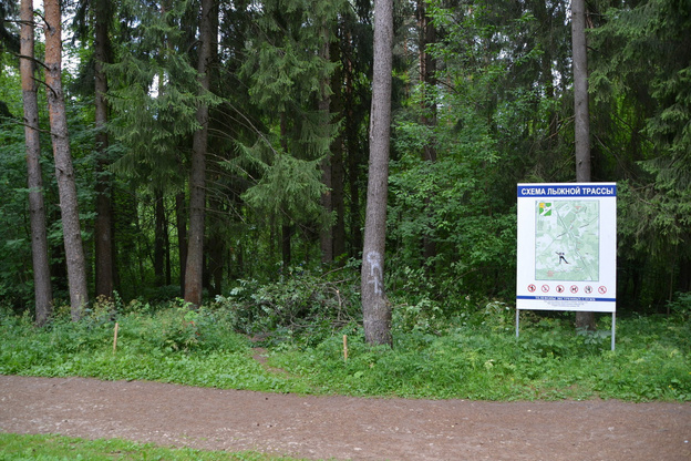    В Кирово-Чепецке создают «тропу здоровья»