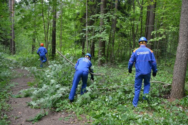    В Кирово-Чепецке создают «тропу здоровья»