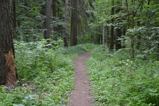    В Кирово-Чепецке создают «тропу здоровья»
