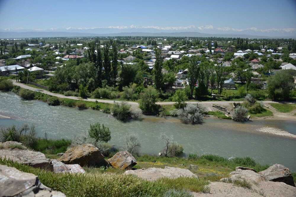 изображение взято из открытых источников в сети Интернет