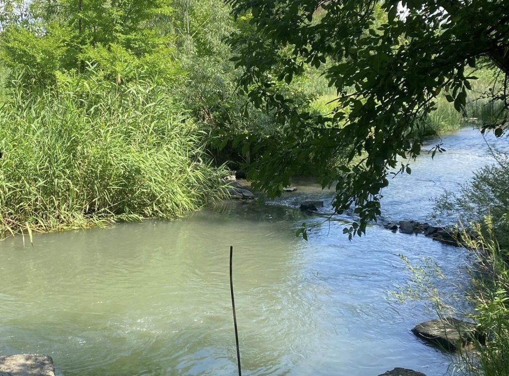   Фото: архив редакции Редактор