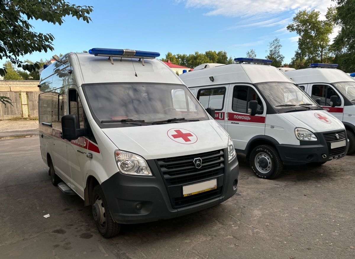 Наши верные друзья