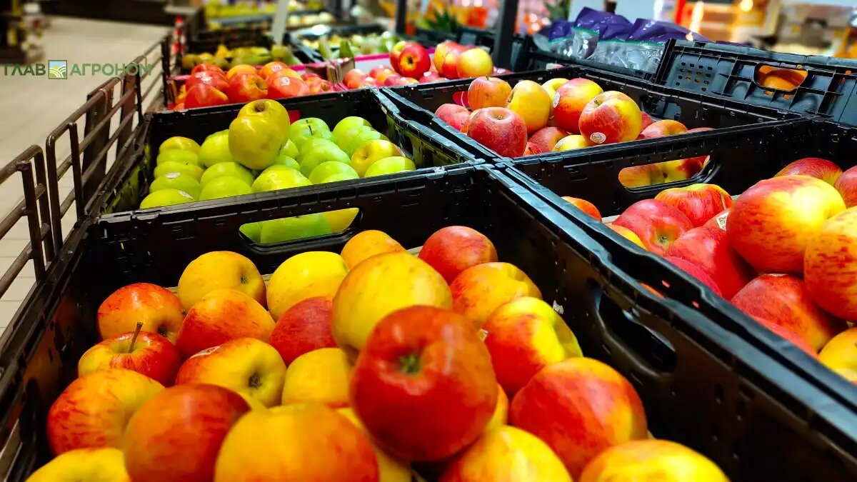 Фото:© Александр Маментович
В России появятся первые «зеленые» фрукты