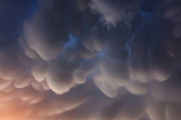     Anton Yankovyi/Wikipedia