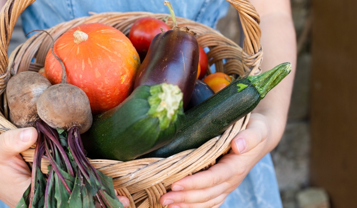    Фото: freepik.com