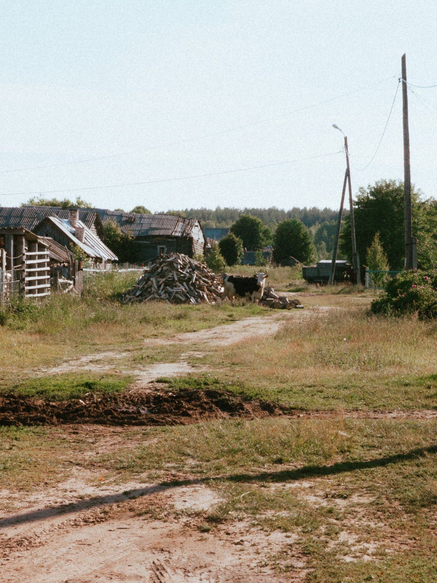 виды Пурнемы