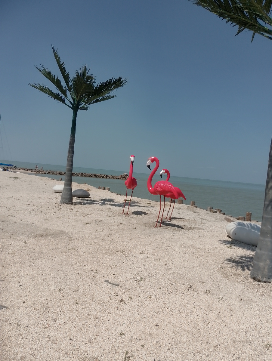 Ейская коса.