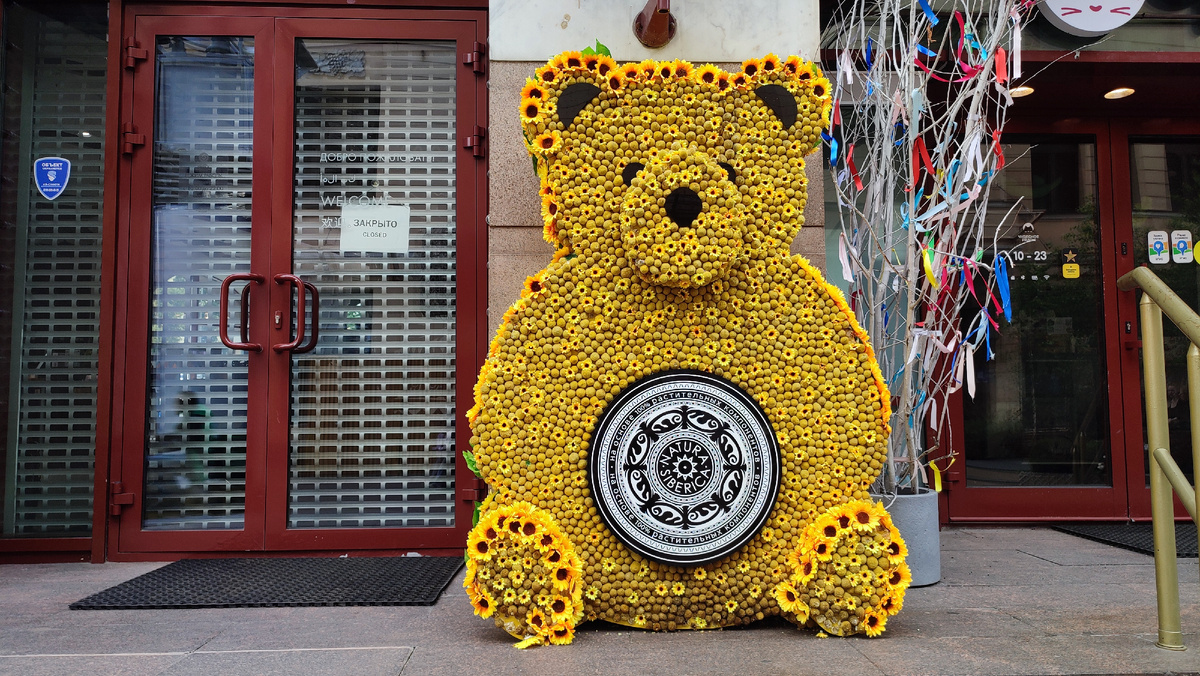 Фотографии в статье с сегодняшней прогулки