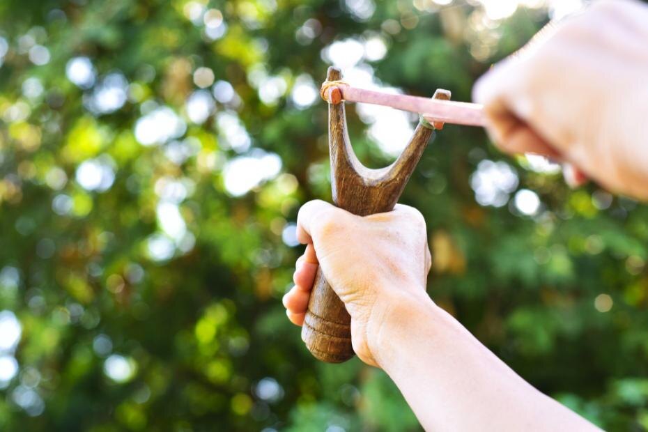    Shutterstock/FOTODOM