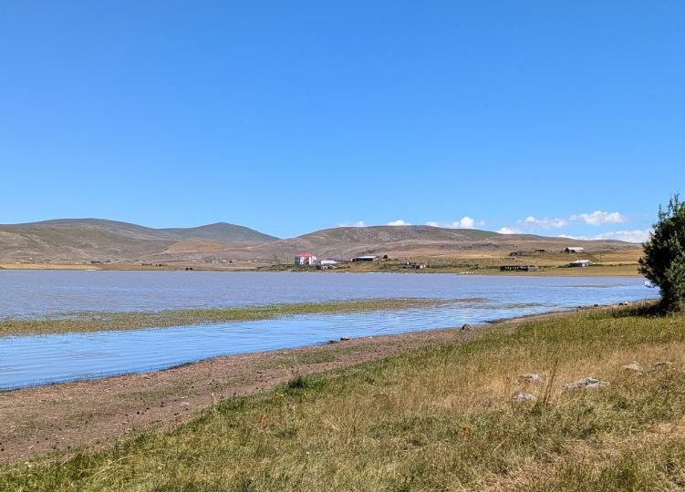 Озеро Арпи - жемчужина Армении для бердвотчеров, где бывает мало туристов