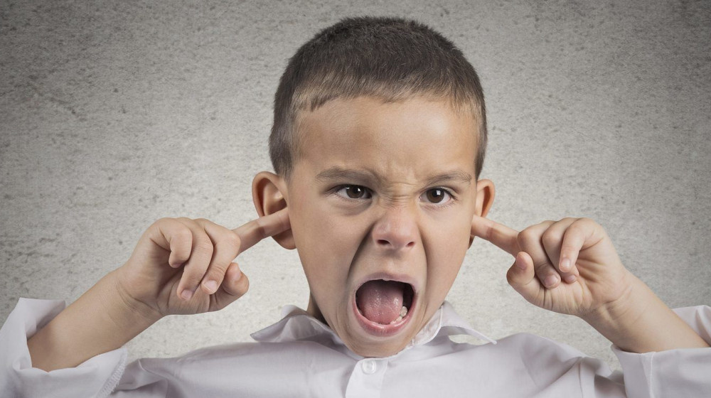    Гневное наследие в сети