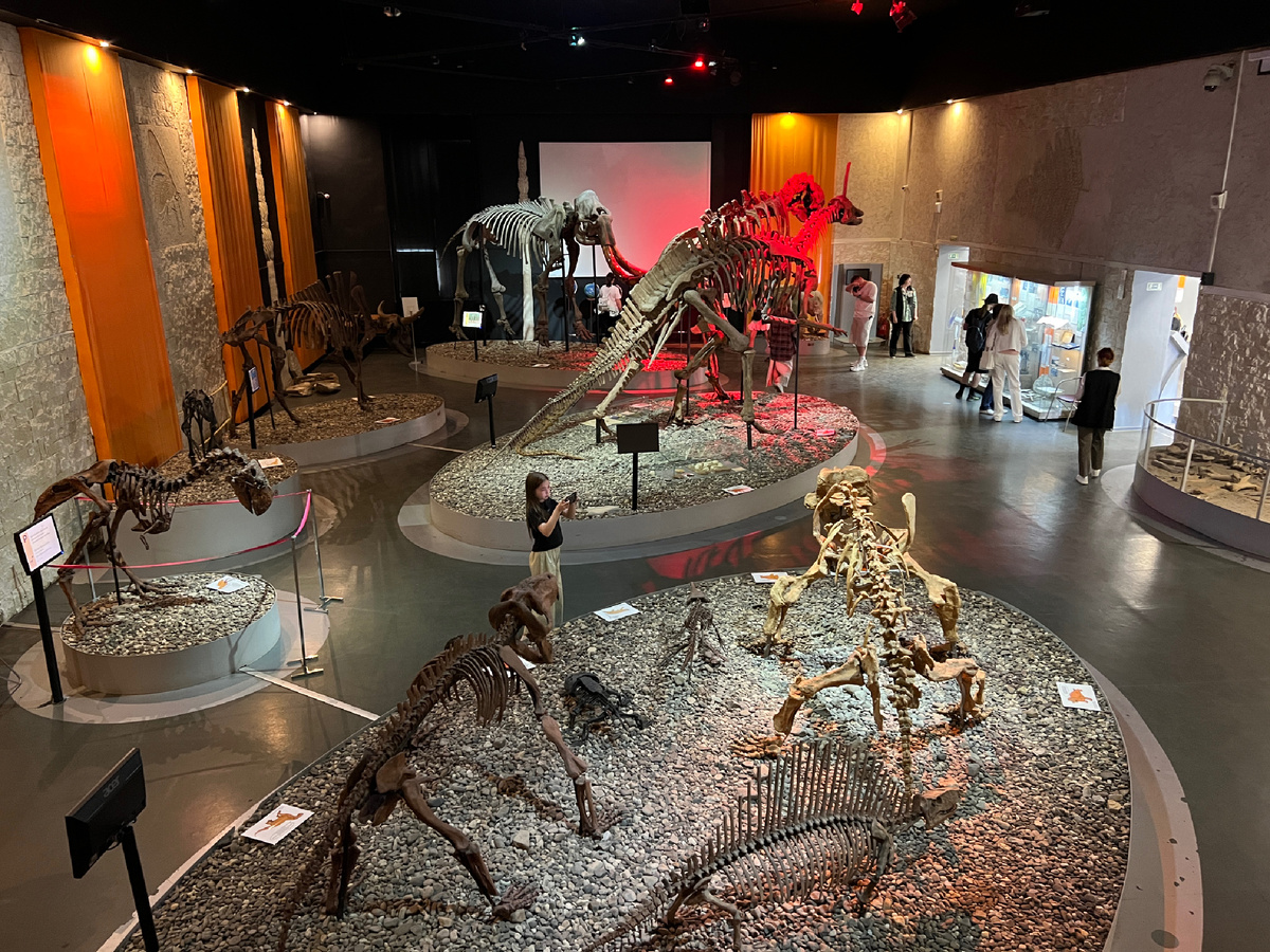 Музей пермских древностей. Фото автора 