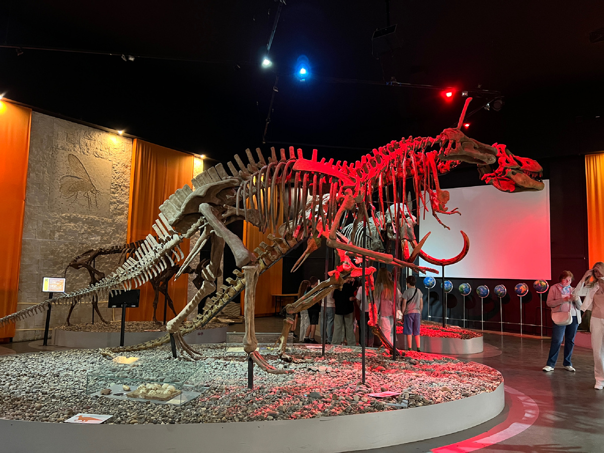 Музей пермских древностей. Фото автора