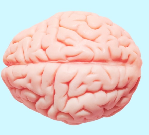 Пища для работы мозга