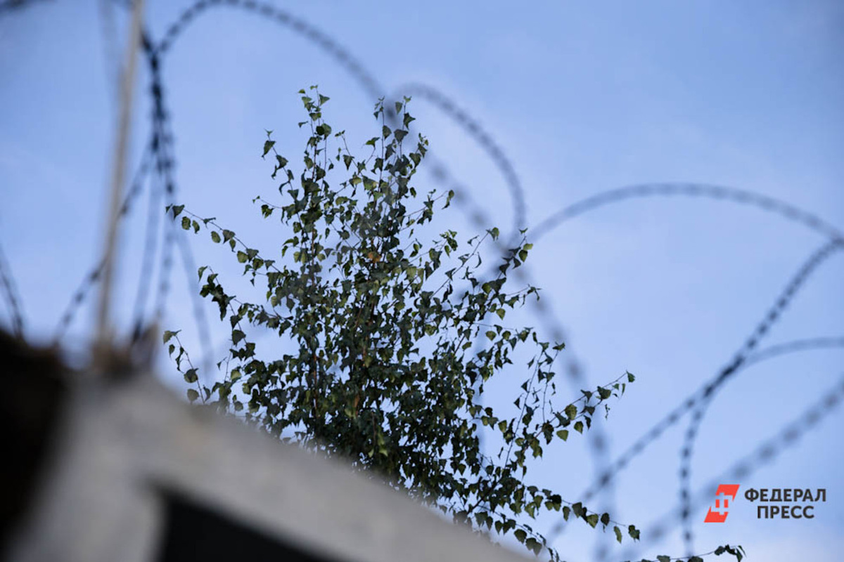 Протест начали находящиеся в шизо и помещениях камерного типа.  Фото: Фото: ФедералПресс / Евгений Поторочин