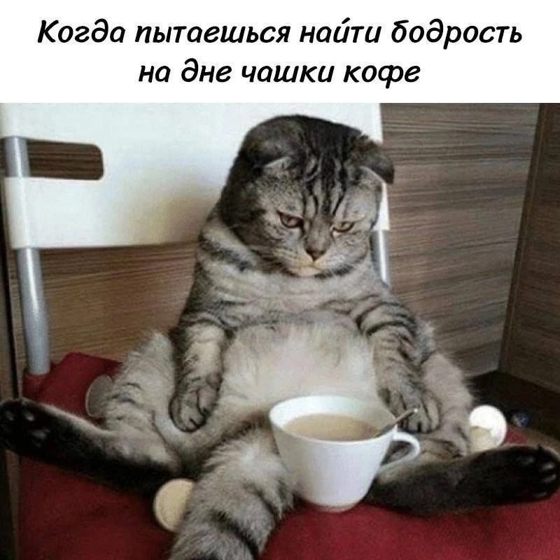 иллюстрация из яндекс картинки.